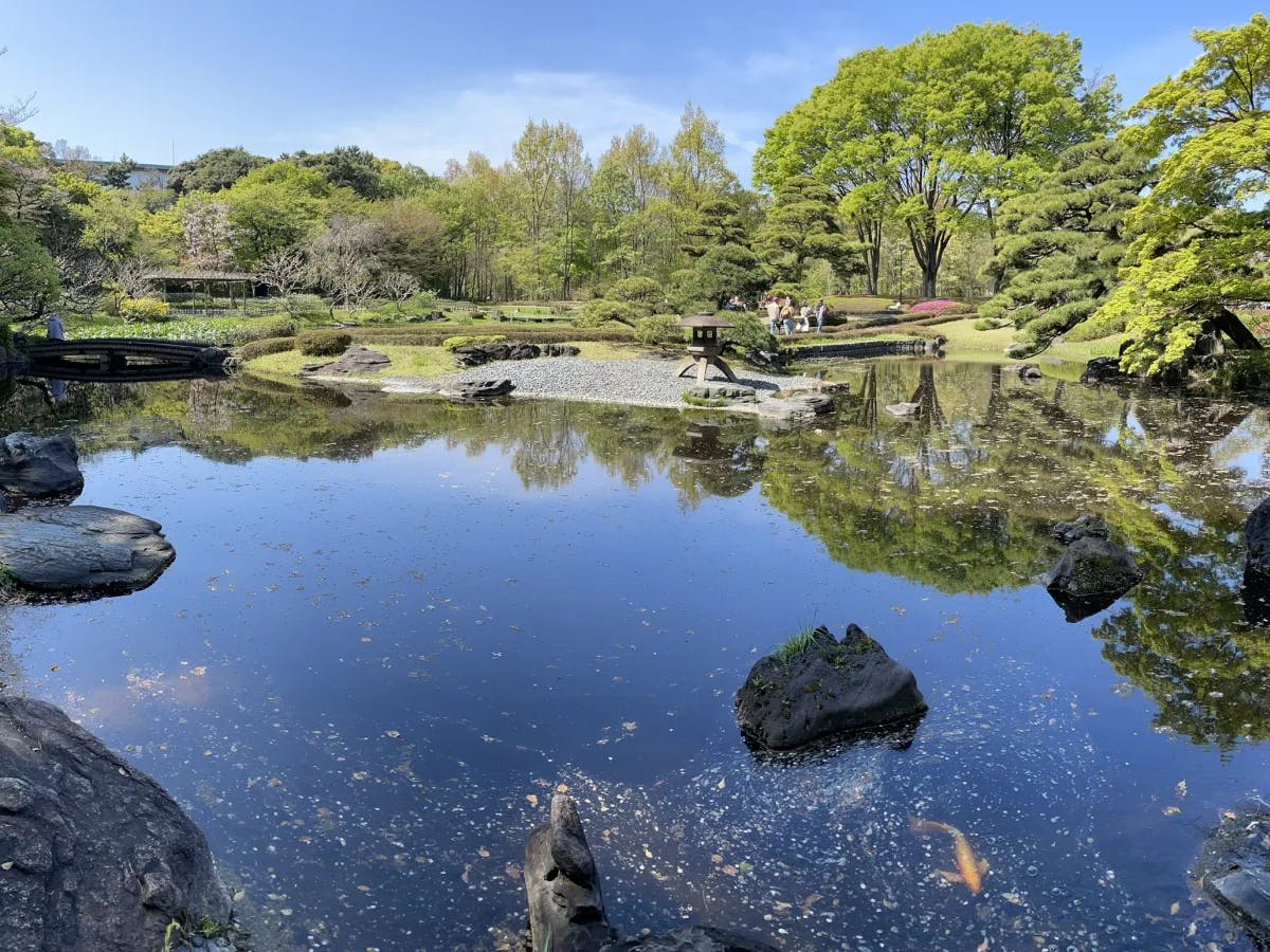 A serene Japanese garden with a pond, stone bridges and lush greenery reflecting on the water’s surface.