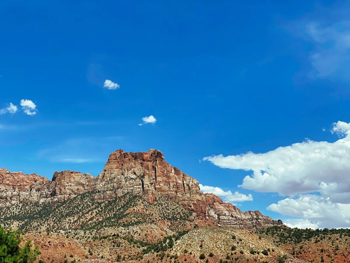 Looking up at the canyon and desert plants with a blue partly cloudy sky during the day.