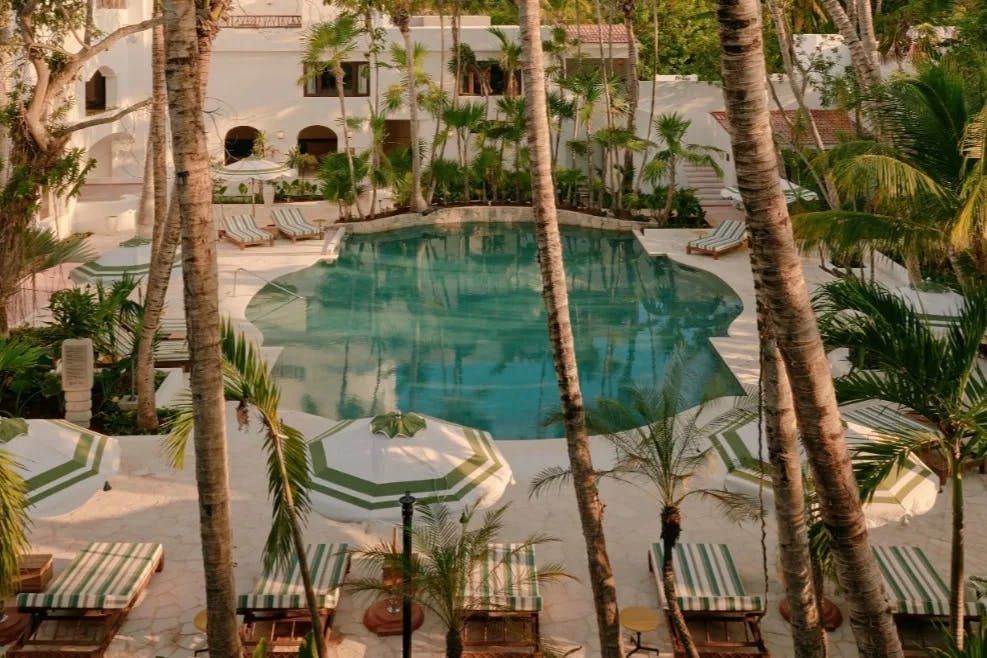 palm trees and pool loungers surrounding an outdoor pool in Mexico