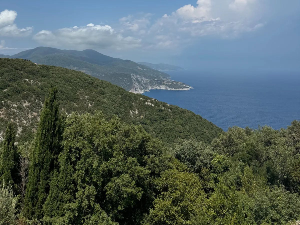 Aerial view of Island. 