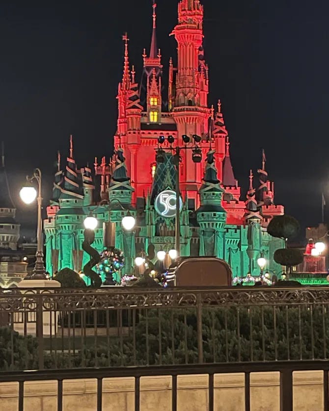 Disney Parks Christmas Castle