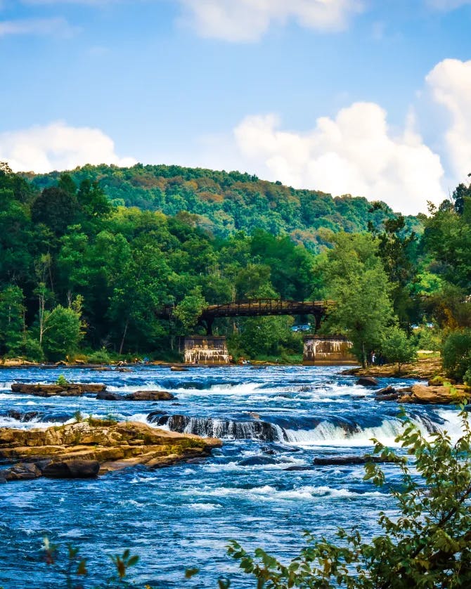 A view of trees surrounding a rapid river with various rock formations scattered throughout it. 