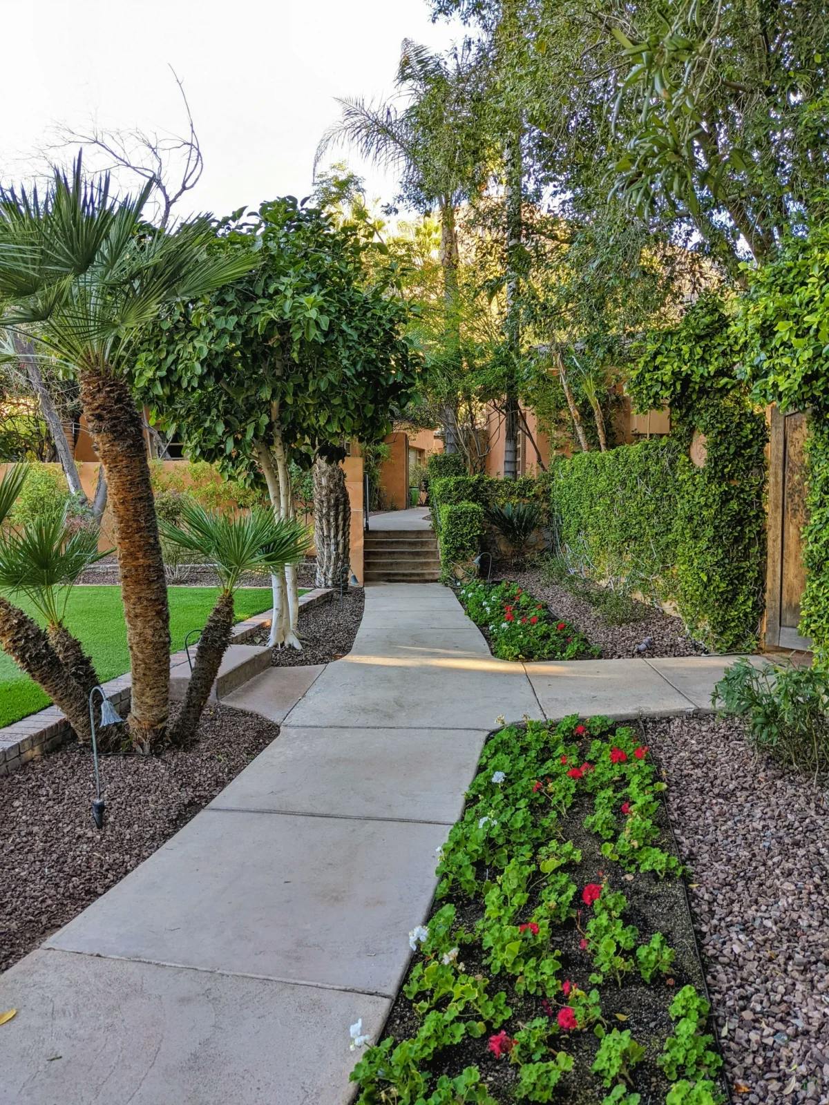 A garden area at the resort with lush greenery and a path.