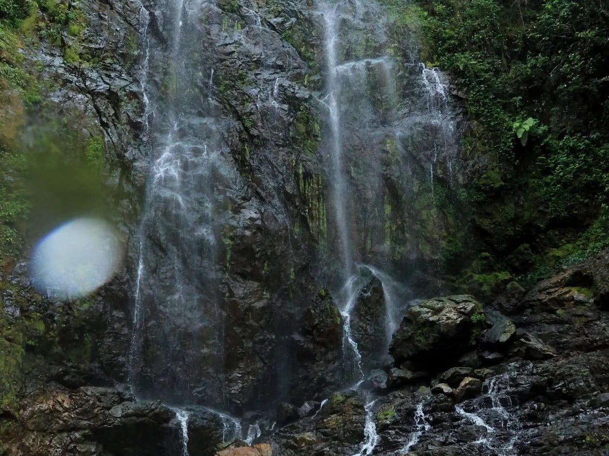 waterfall and green forest