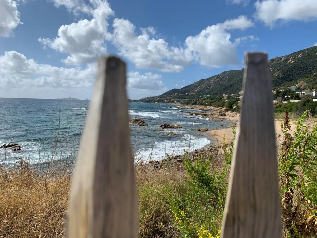 Beach with greenery behind wooden fence posts during daytime.