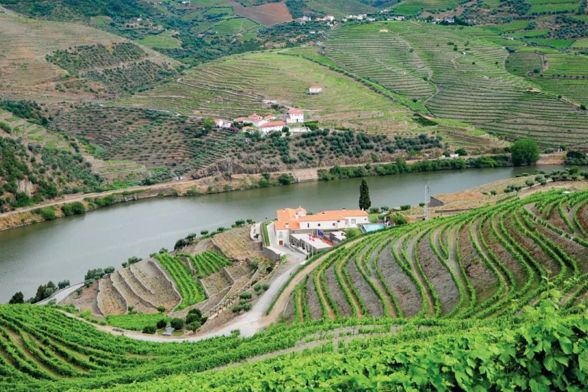 Quintas are traditional wine estates in Portugal.