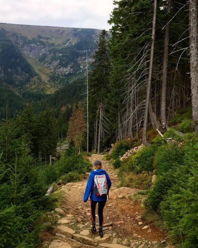 Girl in blue jacket hiking in a forest. 