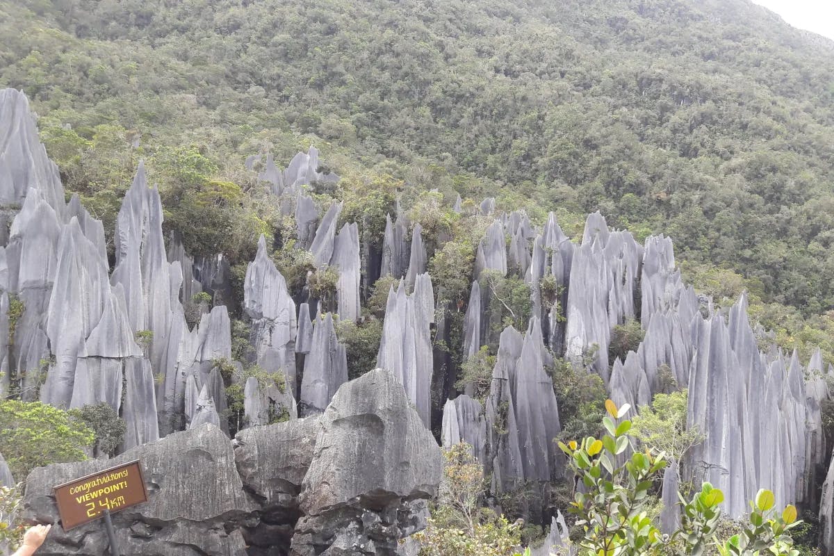 The stunning karst landscapes at Gunung Mulu National Park.