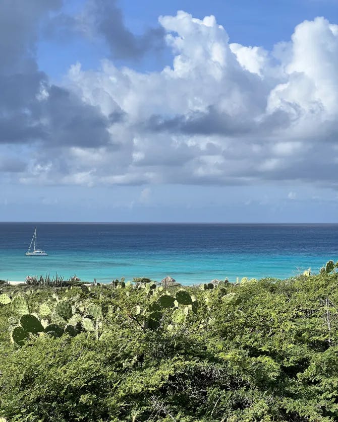 Island shot in Aruba