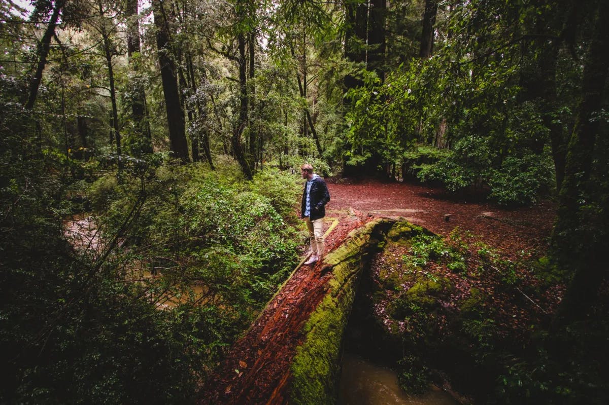 A man in blue jacket walking on pathway between trees during daytime.