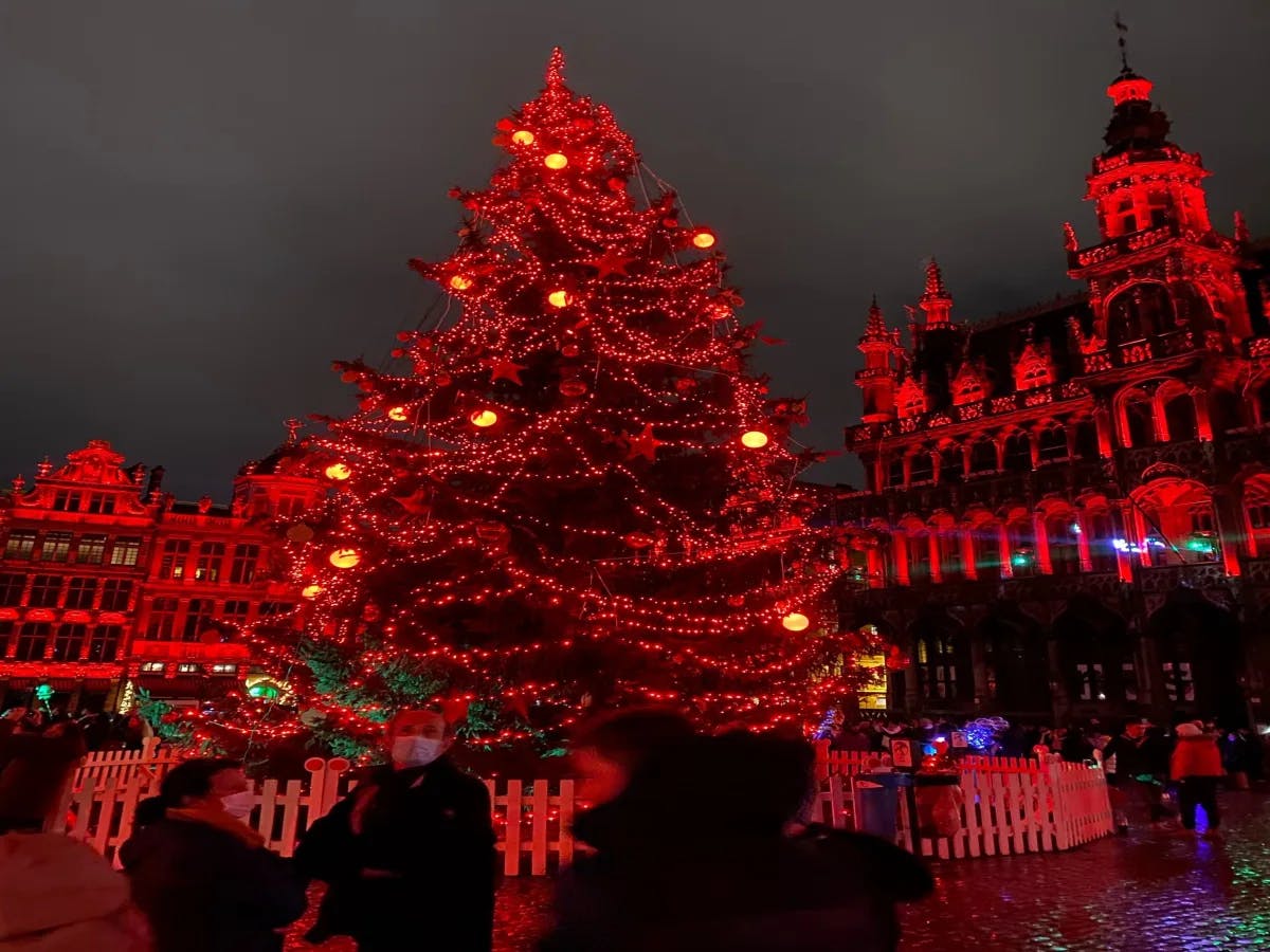 A large Christmas tree in red light as seen in the center of Brussels’ main square at night