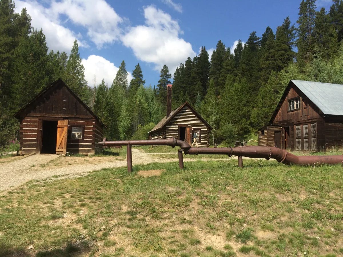 Three cabins in a field with forest in the background