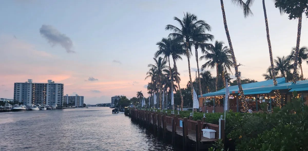 Palm trees next to a river during the sunset