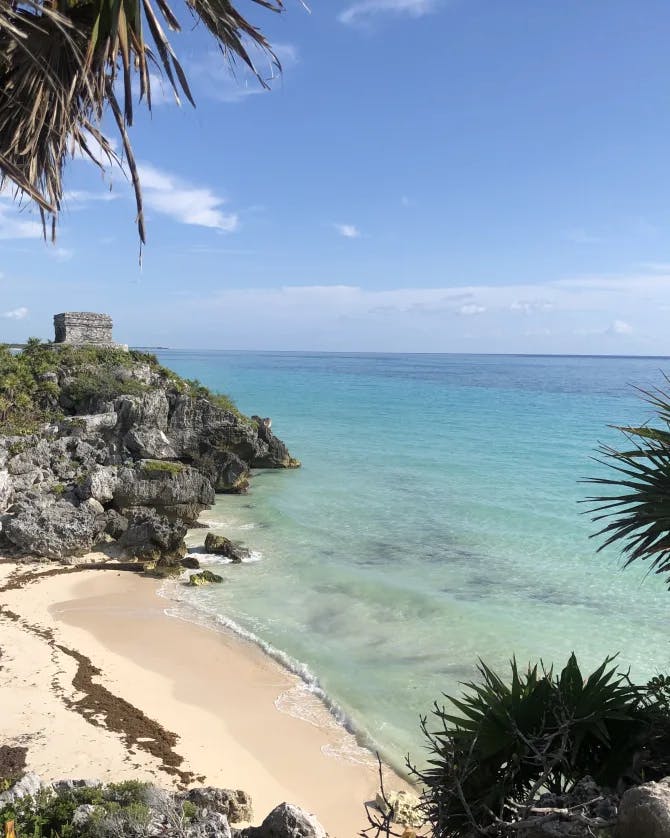 A beach as seen from a trail above with palm trees in the foreground and a rocky hill in the distance.