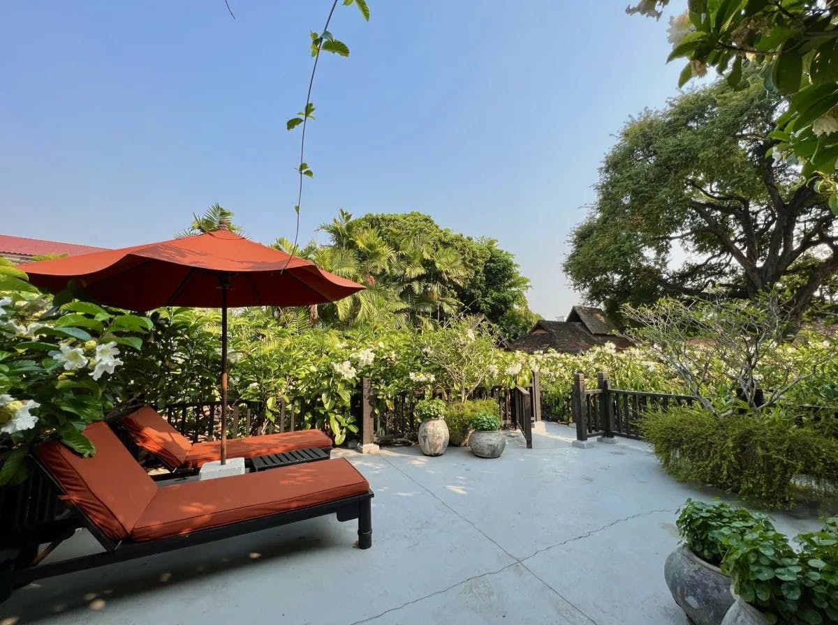 An outdoor patio surrounded by green plants and trees with orange sun beds