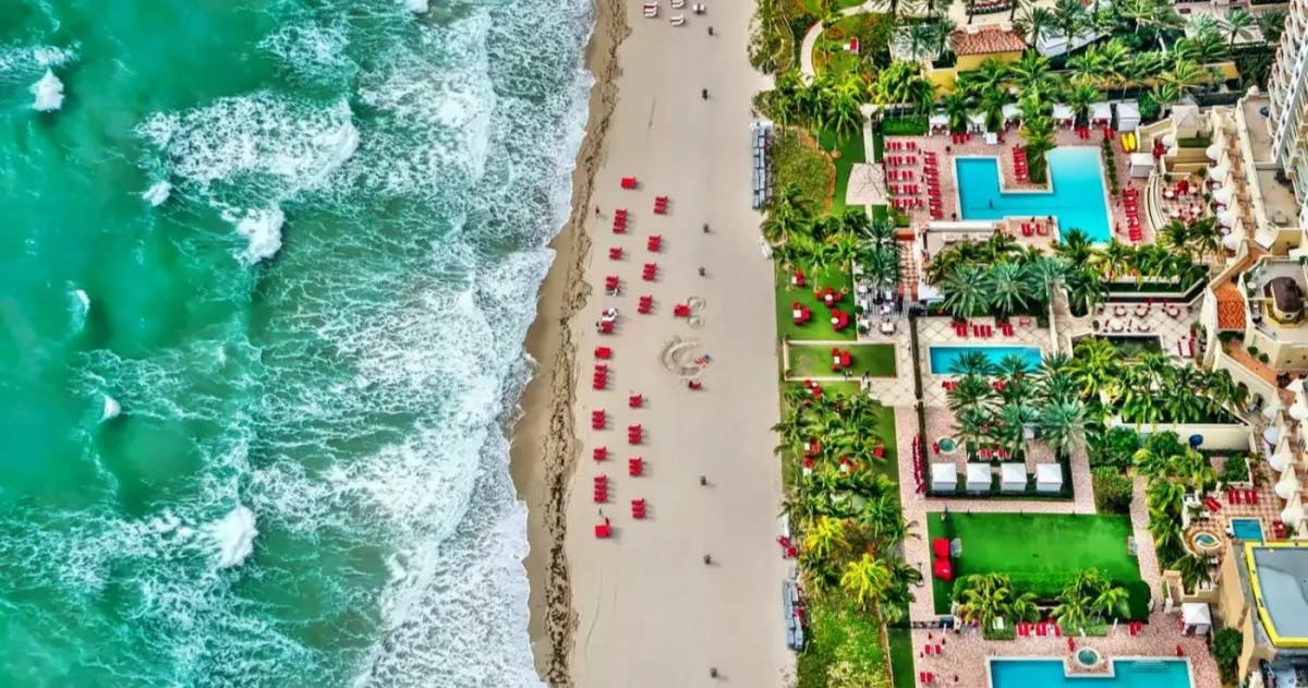 palm trees and beach daytime