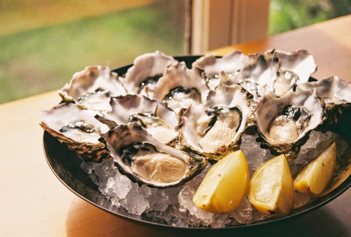 A plate of fresh oysters on the half shell, plated with ice underneath them and lemon wedges on the side.