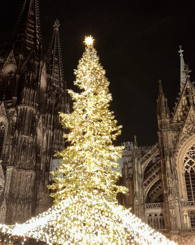 A beautifully decorated and lit Christmas tree