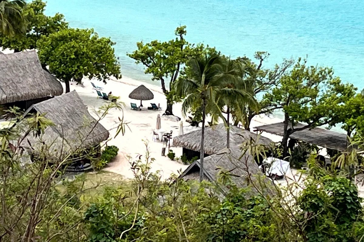 An aerial view of a beach by the water during daytime with straw-roofed huts and palm trees