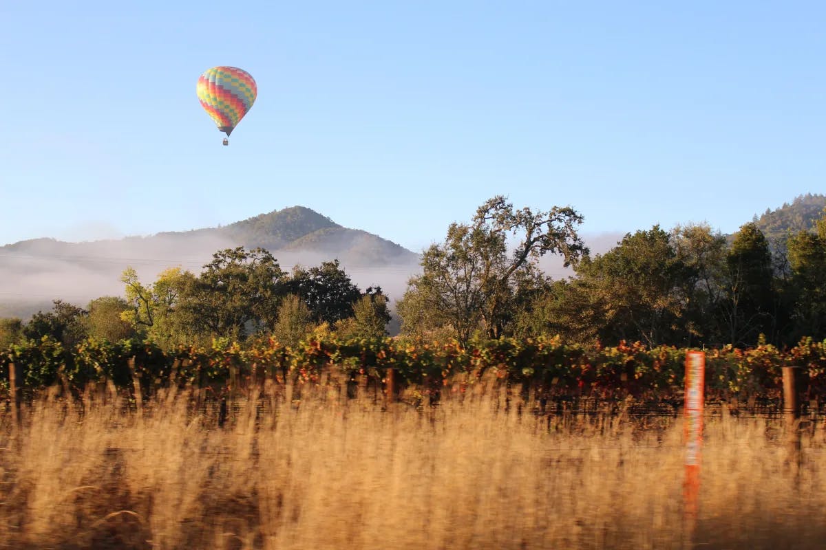 hot-air-ballon-trees-napa-valley-travel-guide