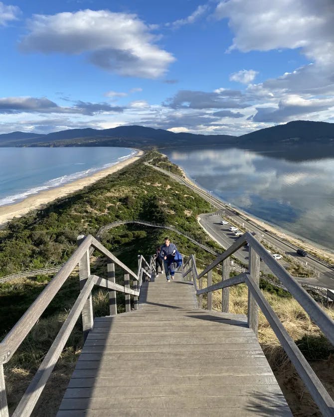 Beautiful view of The Neck Lookout Bruny Island