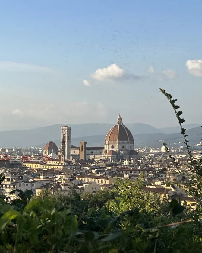 Aerial view of a  dome, buildings and mountains. 