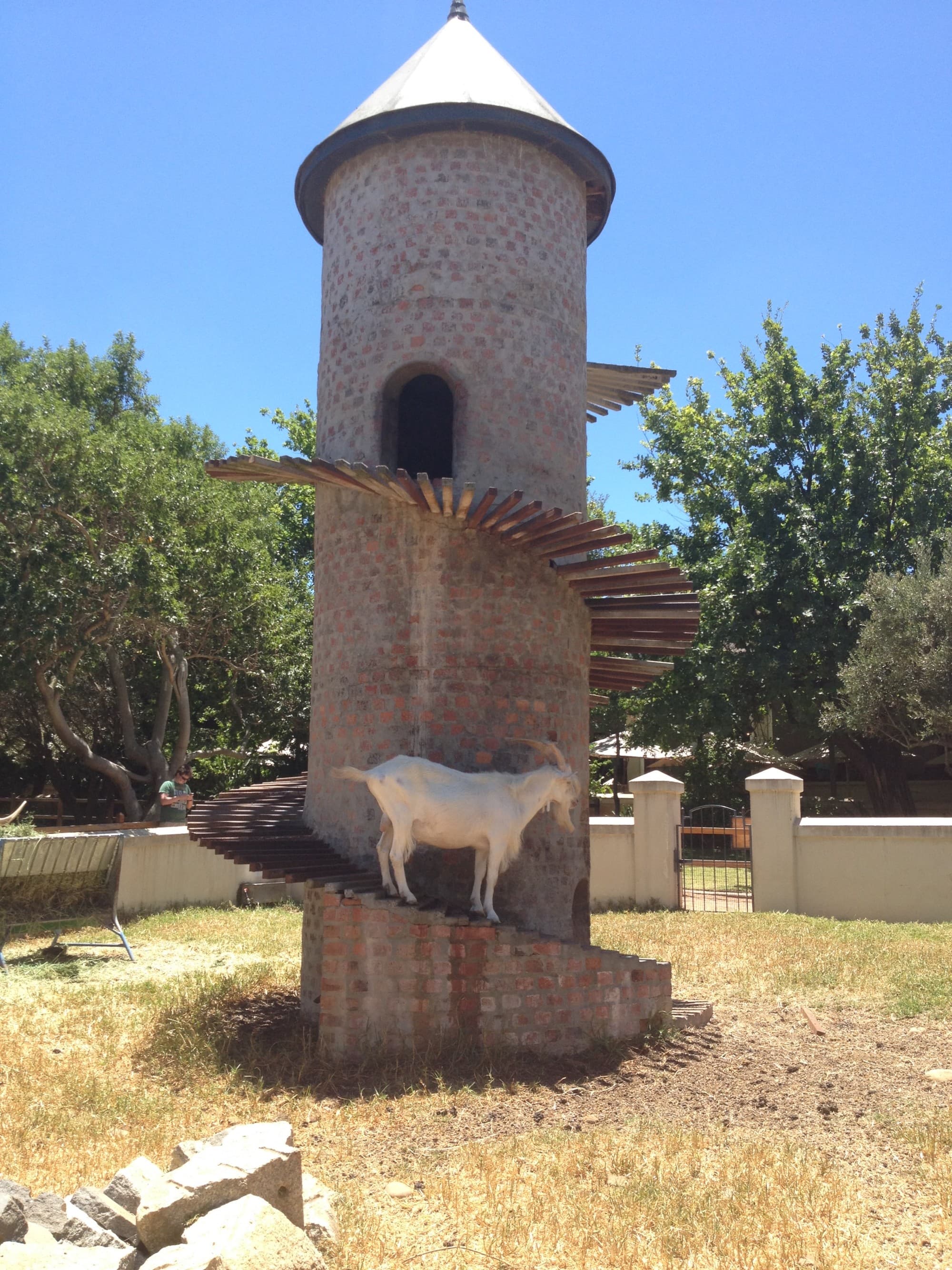 View of the winery