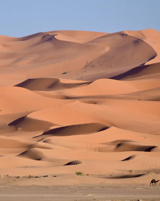 desert mountains