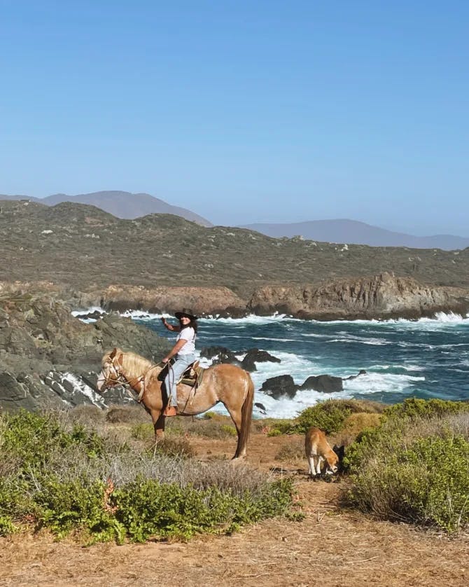 Travel advisor riding a horse in a valley