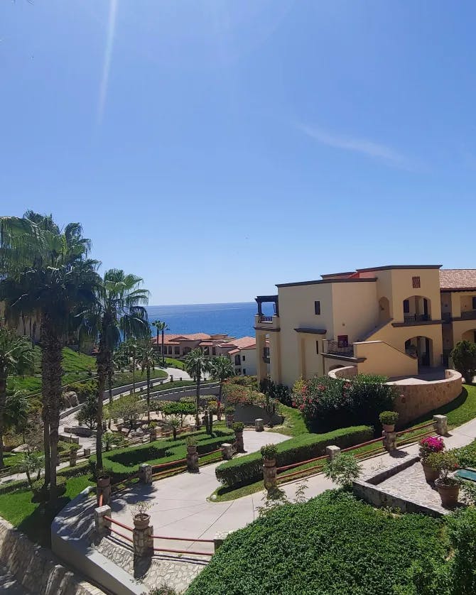 An image of a resort with foliage and the ocean in the distance on a sunny day.