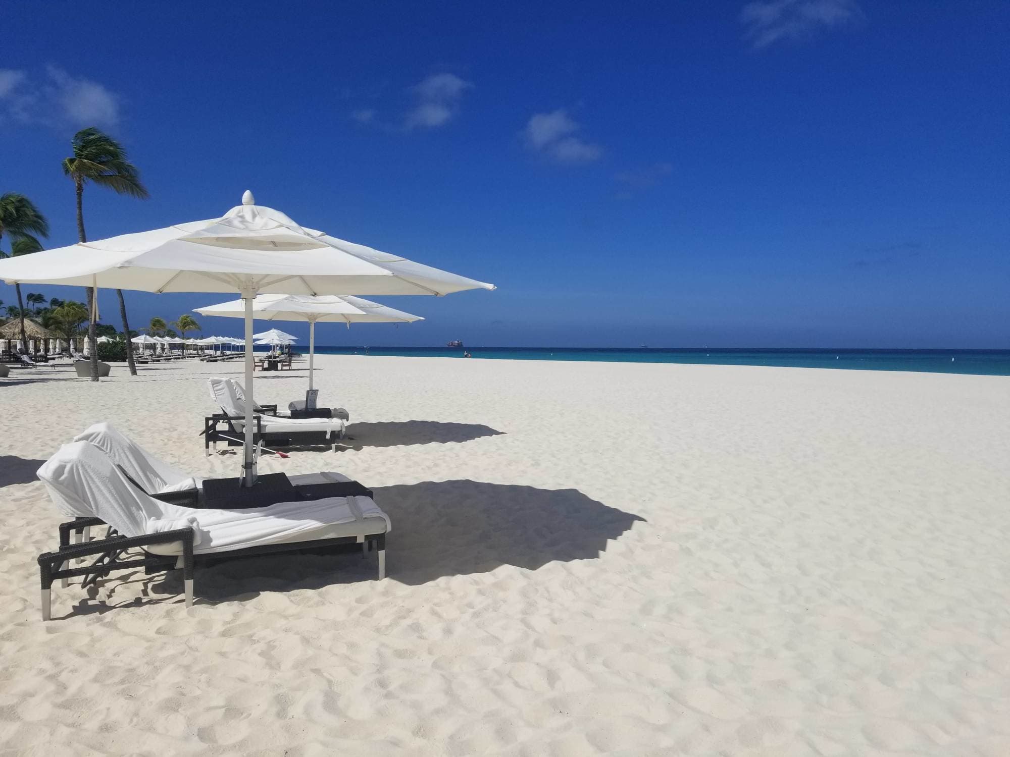 Lounge chairs on a sandy beach during daytime