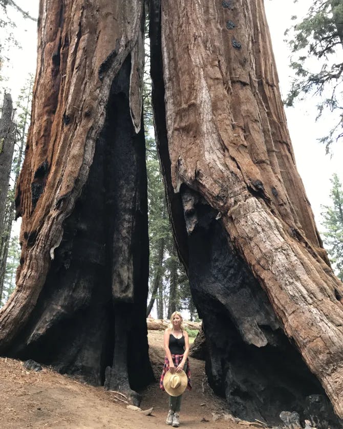 Picture of Erica at Sequoia National Park