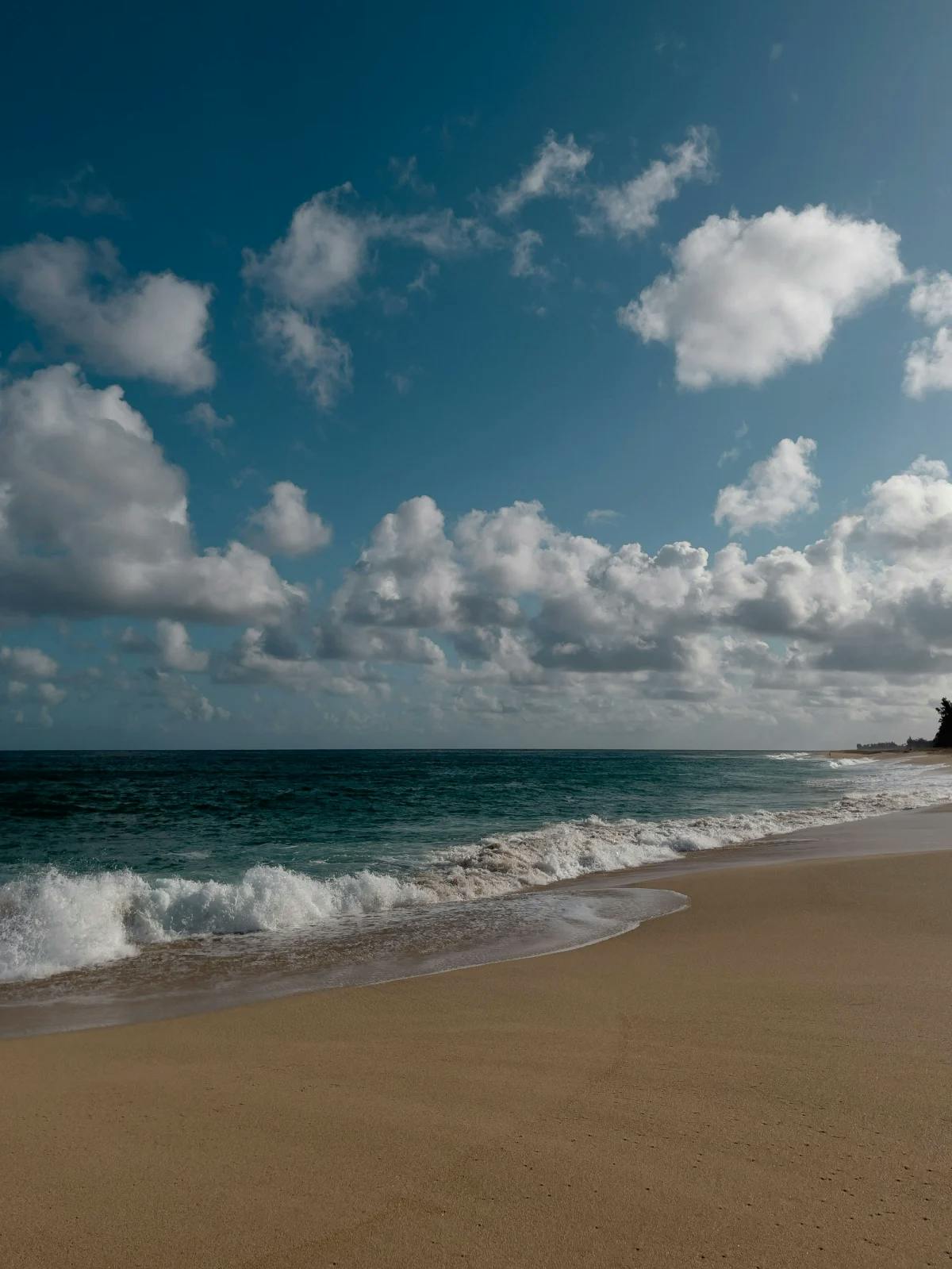 Beach with golden sands and gentle waves under a sky dotted with fluffy clouds