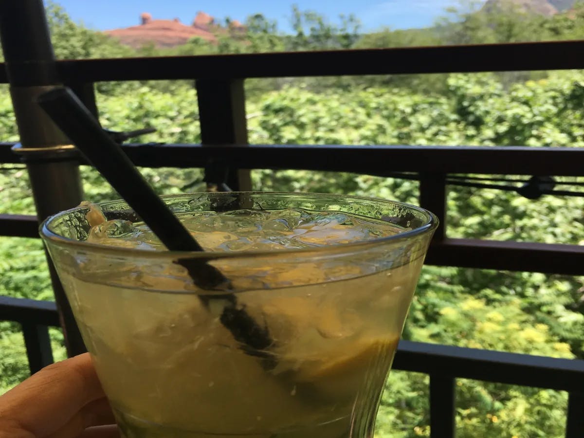 A picture of a person holding a drink near the trees during daytime.