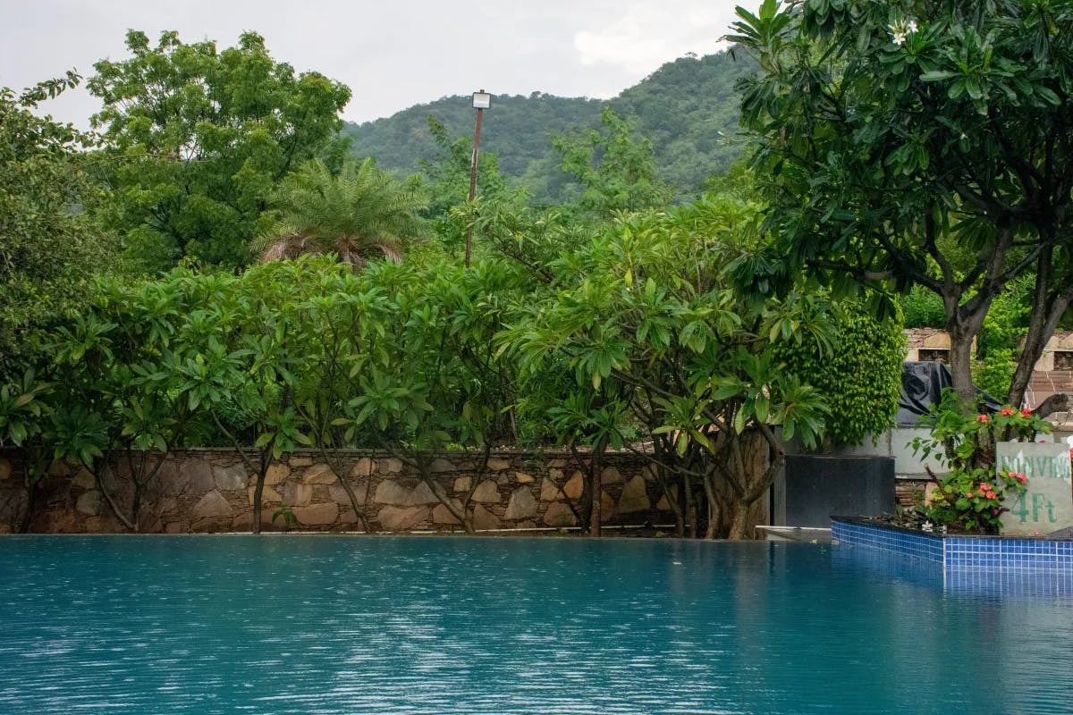 pool-surrounded-by-trees-italy-travel-guide