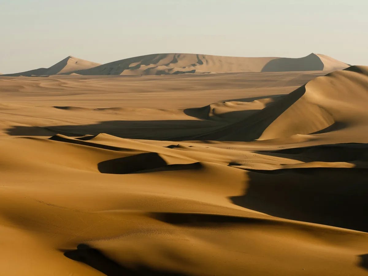 A tranquil desert vista unfolds with rolling dunes stretching into the distance under a pristine sky.