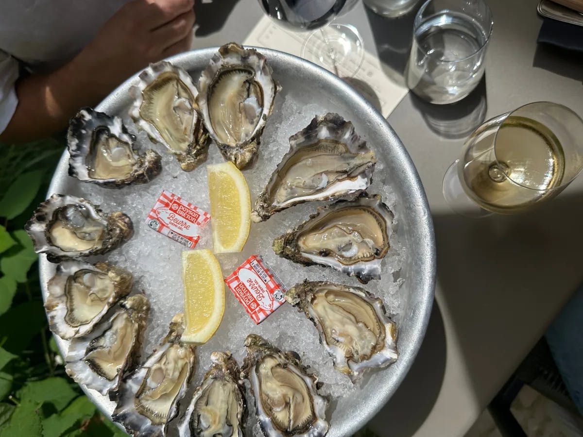 The image features a tray of oysters on ice with lemon wedges and a glass of white wine, evoking a fresh seafood dining experience.