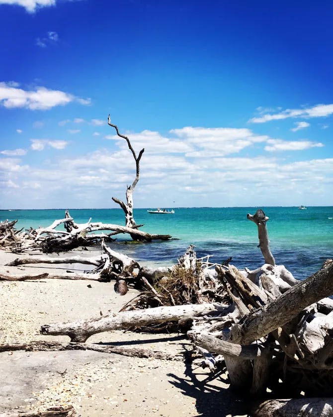 Sea and seaside view