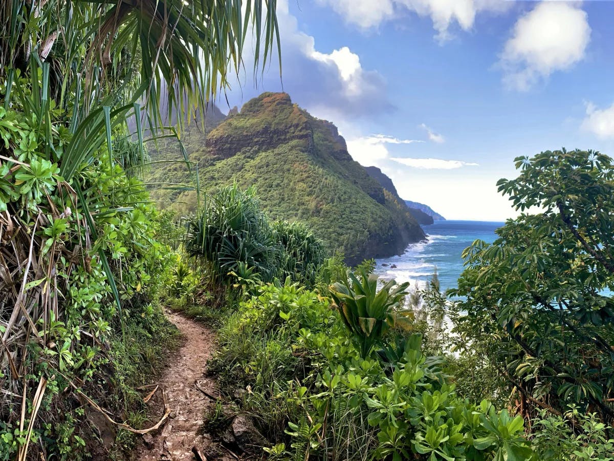 A scenic trail with lush greenery, a mountain and ocean views.