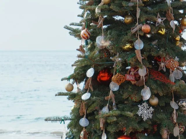 a decorated christmas tree on the beach with the ocean in the background