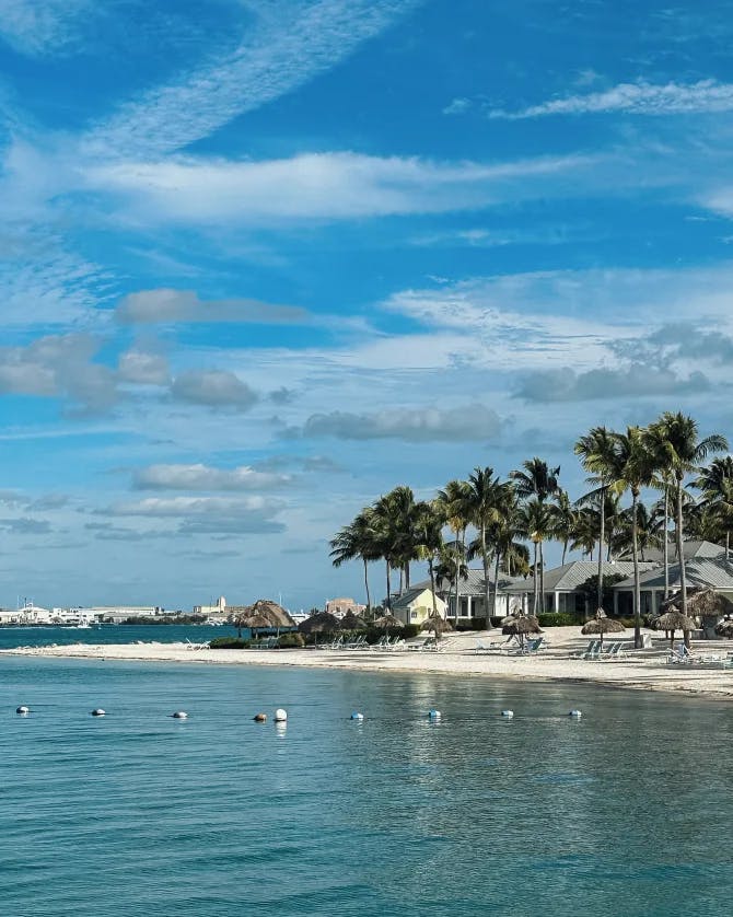 View of a beautiful beach, palm trees and blue water against the blue sky and clouds