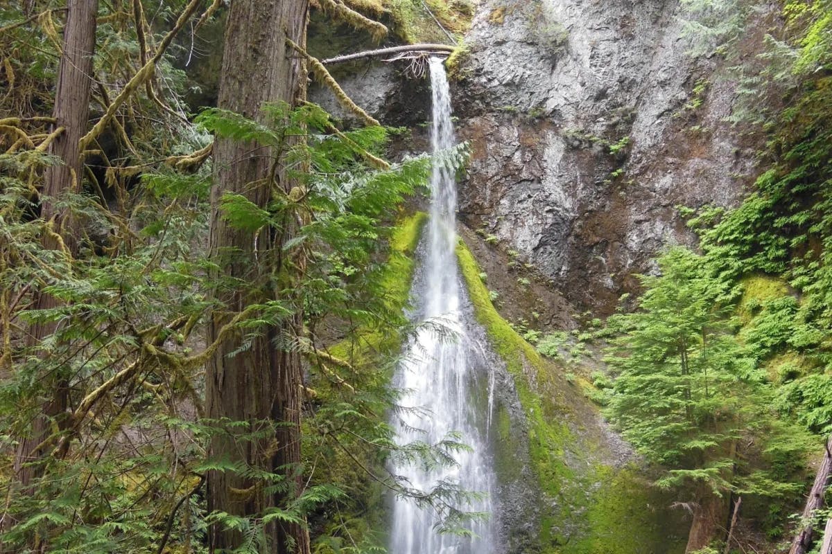 Olympic National Park offers outdoor adventures, cultural experiences and serene, natural splendor.