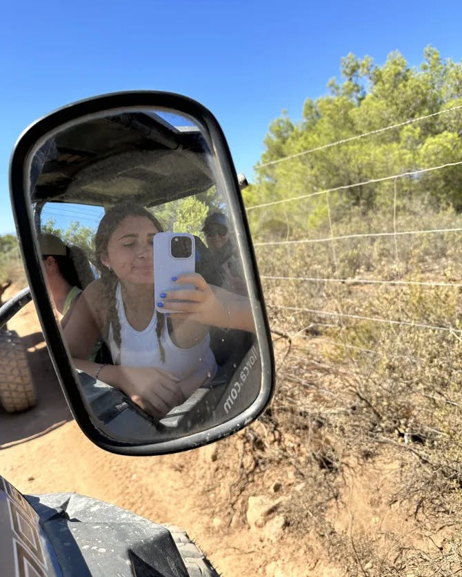 Travel advisor in side mirror of the vehicle. 