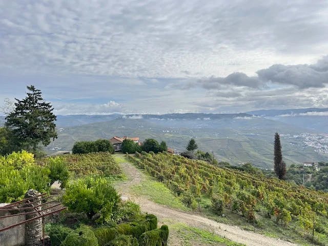 A view of Duoro Valley from above, with rolling hills, trees and scenic clouds - Mindy Levin 