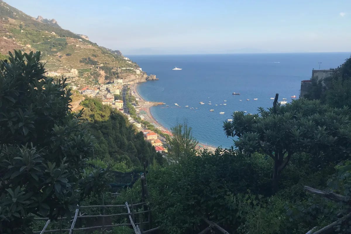 View from the Lemon Path in Minori. The coastline and foliage in the distance. 