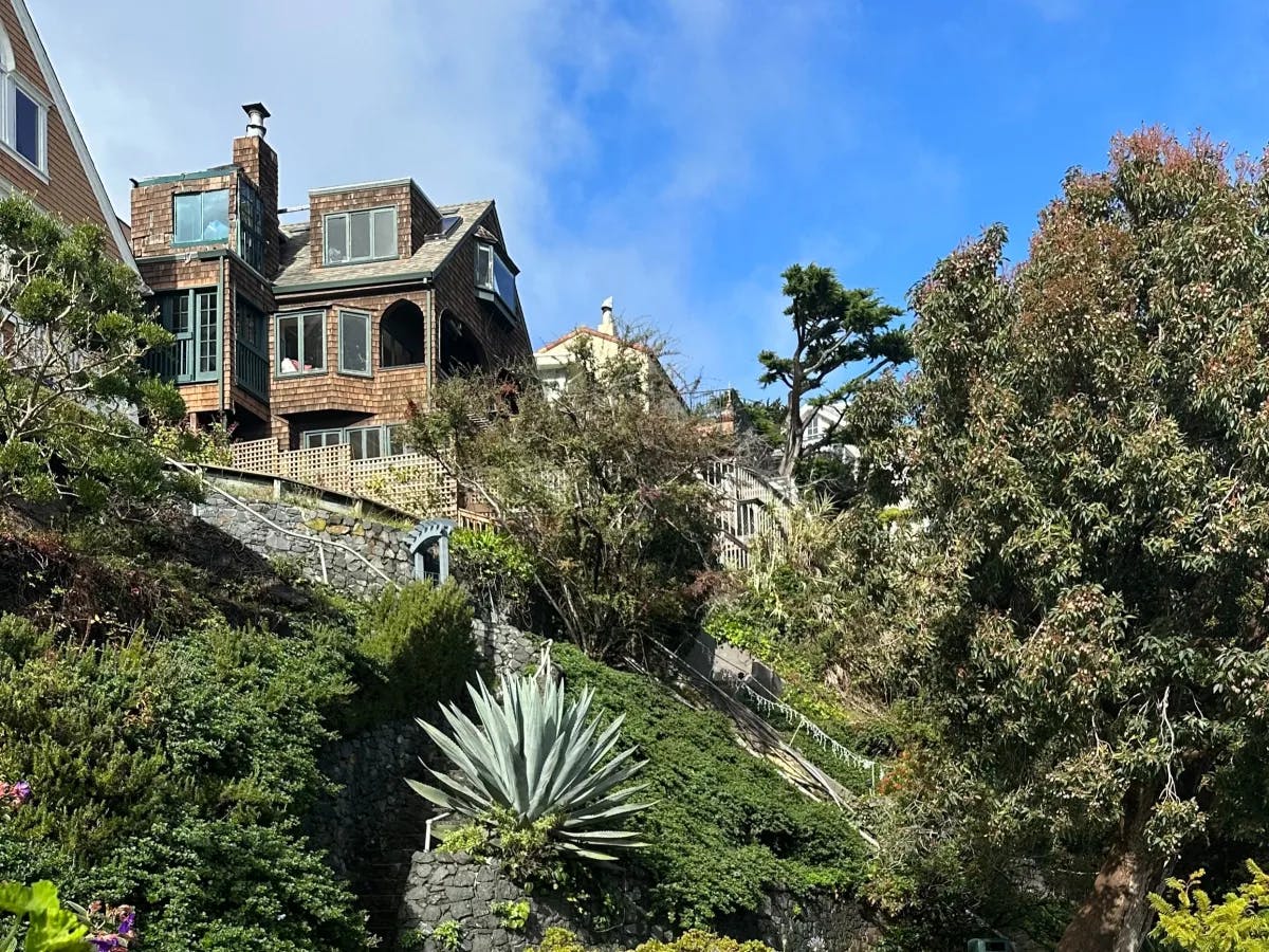 House on top with greenery view