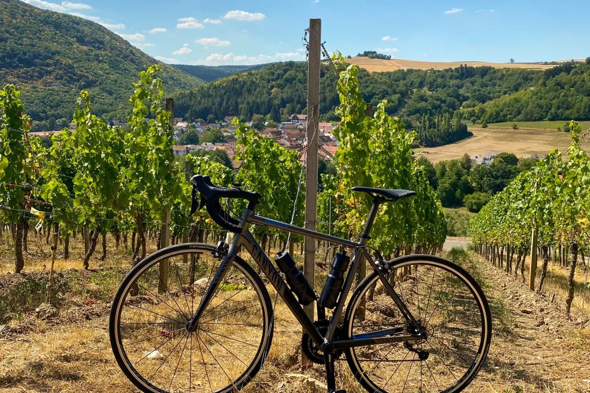 A black bike in front of rows of trees in a vineyard.