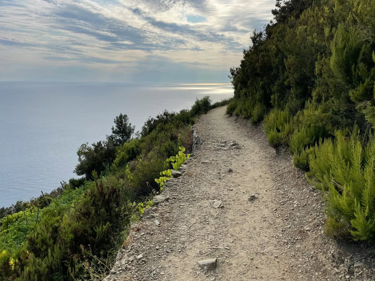 The image presents a scenic coastal trail flanked by lush greenery and a sweeping view of the sea and horizon.