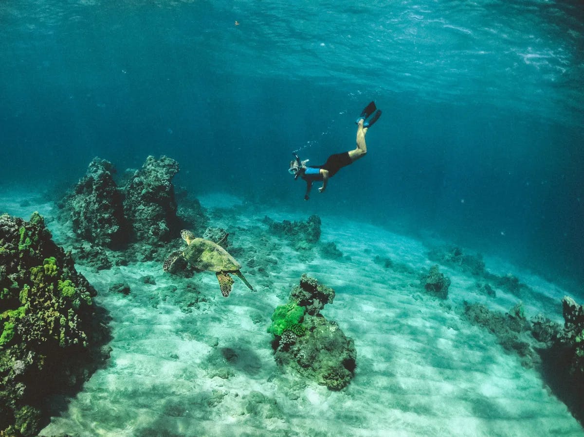 A far view of a person snorkeling in the water.