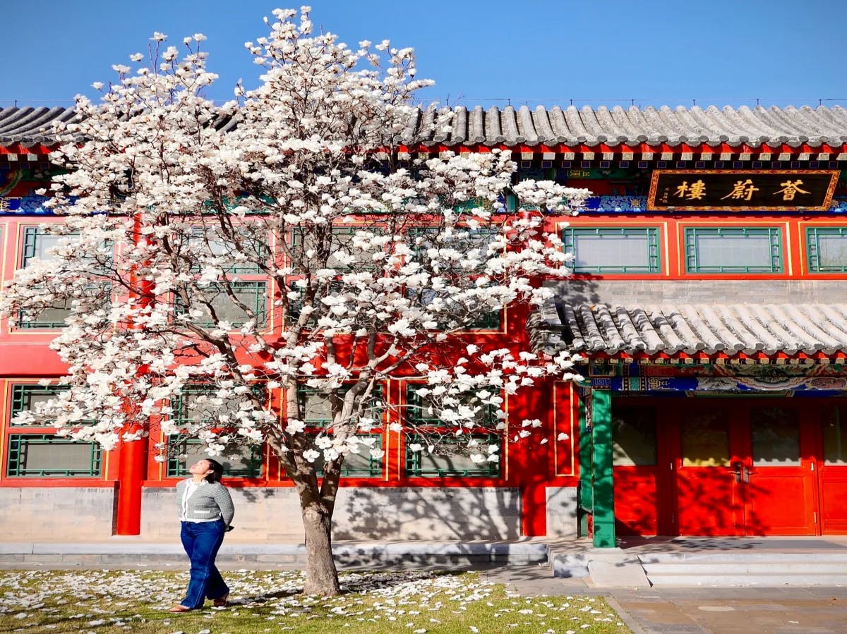 A picture of a red house with a tree in front of it with white leaves